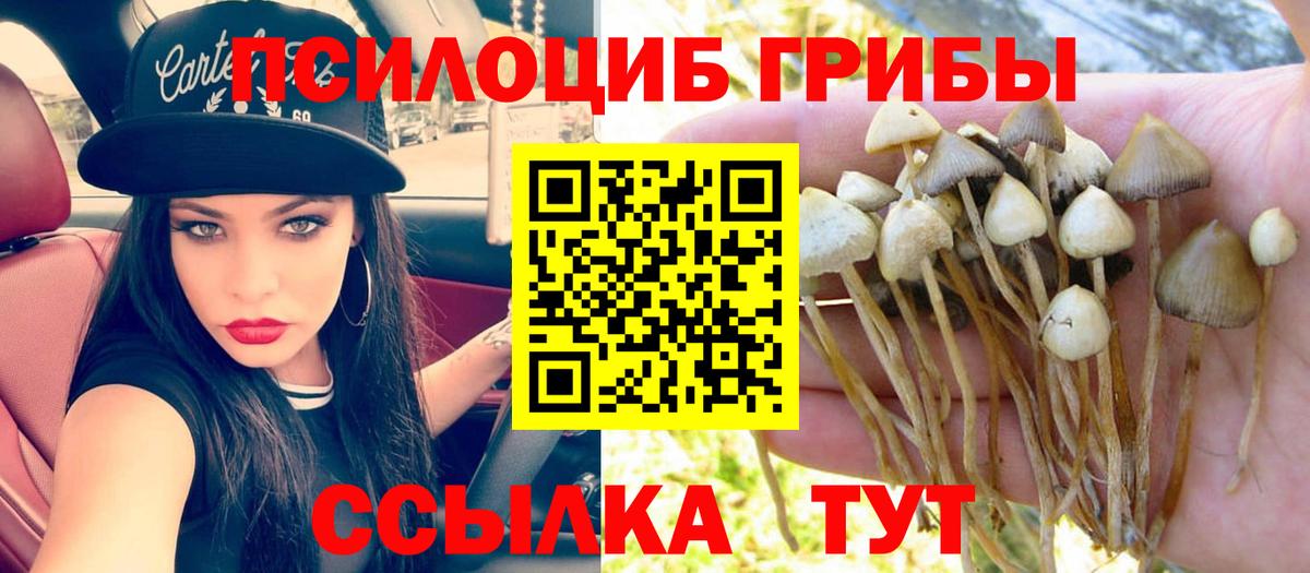 Галлюциногенные грибы мухоморы  Вход с VPN  Кировск 